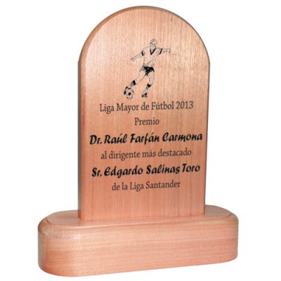 Imagen 1 de Galvano Medio Punto Raulí