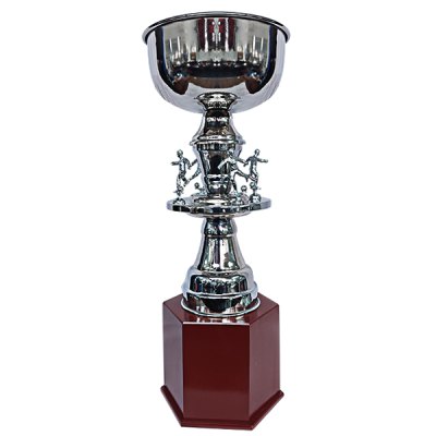 Copa Gran Campeón