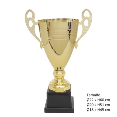 Imagen 5 de KIT D (12 Copas)