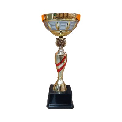 Imagen 2 de Copa DAN