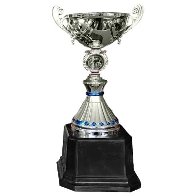 Imagen 1 de Copa VIC