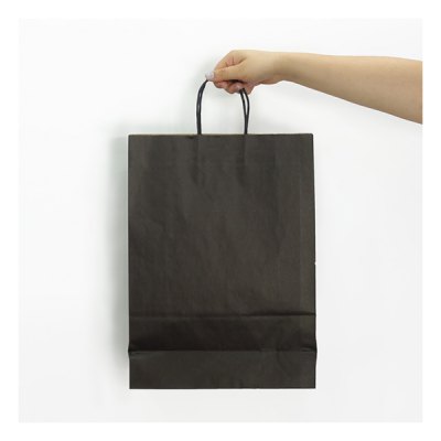 Imagen 2 de Bolsa Papel Kraft BP12