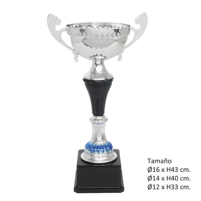 Imagen 2 de KIT B (21 Copas)