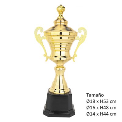 Imagen 3 de KIT D (12 Copas)