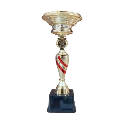 Imagen 3 de Copa CJ