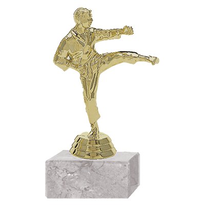 Trofeo Plástico Karate Masculino
