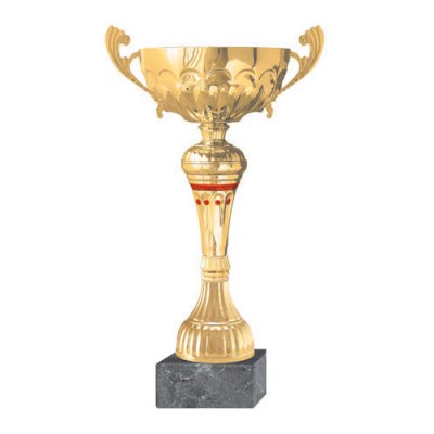Copa BLAS 11