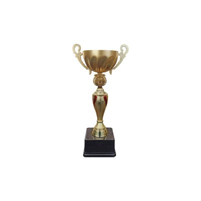 Imagen 1 de Copa JN