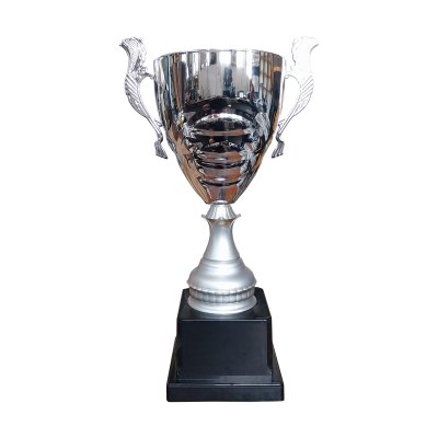 Imagen 1 de Copa DAN 7