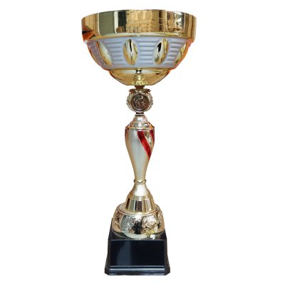 Imagen 3 de Copa DAN