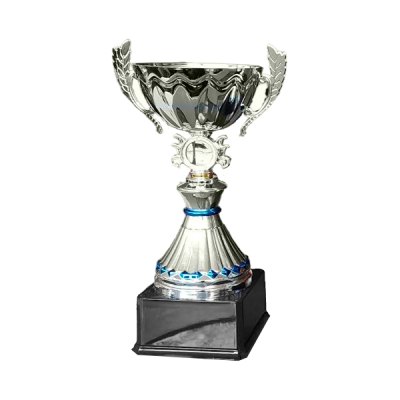 Imagen 2 de Copa VIC