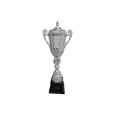 Imagen 1 de Copa JEN12
