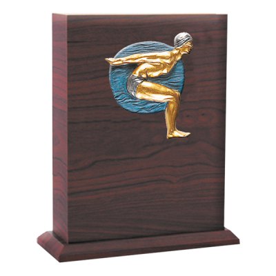 Imagen 3 de Molde de resina Natación (NR 39)