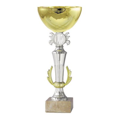 Copa BLAS  7