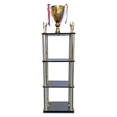 Imagen 2 de Copa Torre DGO10