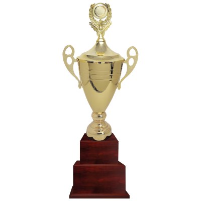 Imagen 1 de Copa CY 313