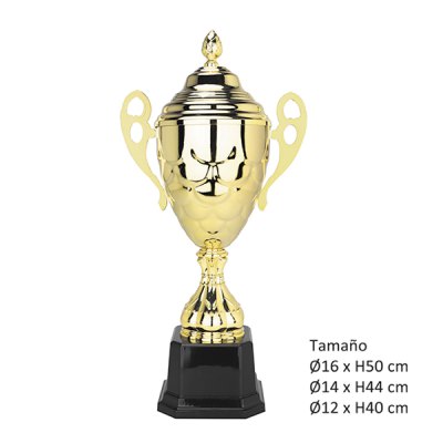 Imagen 2 de KIT D (12 Copas)