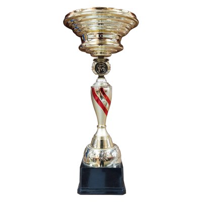 Imagen 4 de Copa CJ