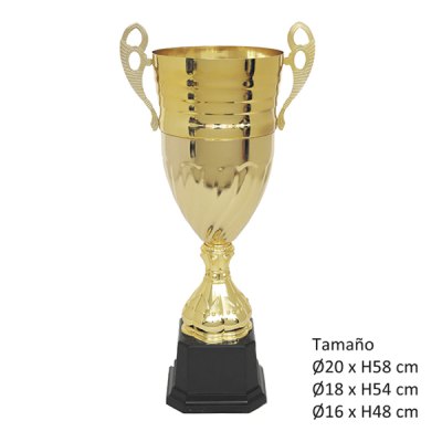 Imagen 4 de KIT D (12 Copas)