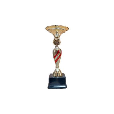 Imagen 3 de Copa ZK